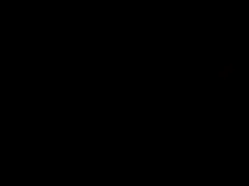 3rdlegxxx Image 3