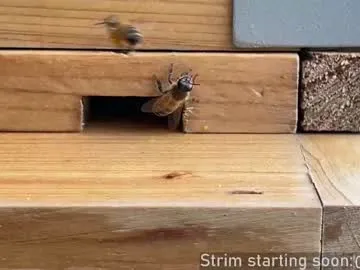 booker_baxton Image 18