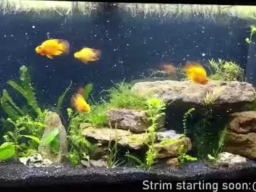 booker_baxton Image 19