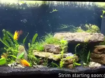 booker_baxton Image 5