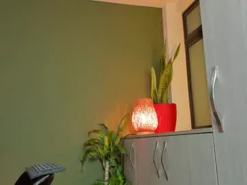 lincom_amith Image 4