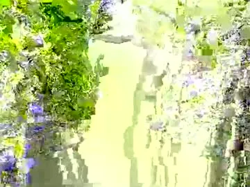 oleksandr7622 Image 4