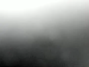 synop_sis Image 16