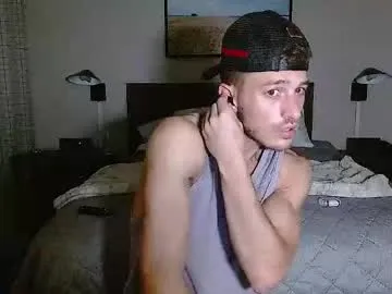 thelincolngrey Image 19