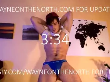 waynenorth Image 11