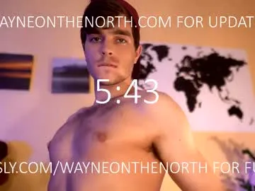 waynenorth Image 15