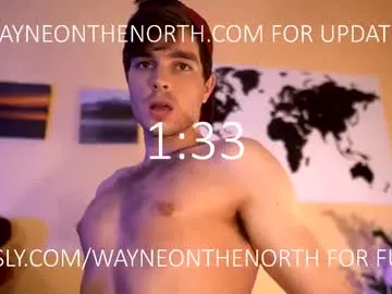 waynenorth Image 18