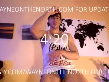waynenorth Image 3