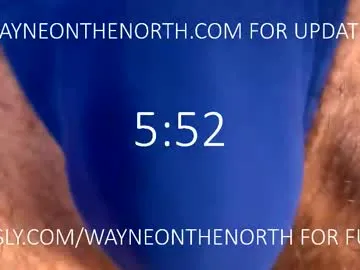 waynenorth Image 7
